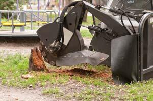 stump-grinding-scottsdale-az stump-grinding-scottsdale-az