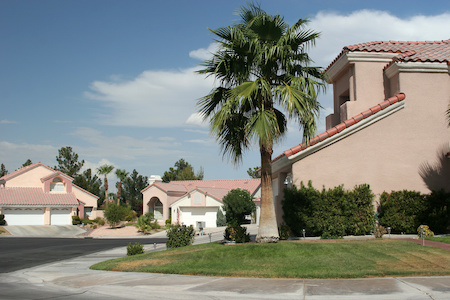 Tree Maintenance Phoenix