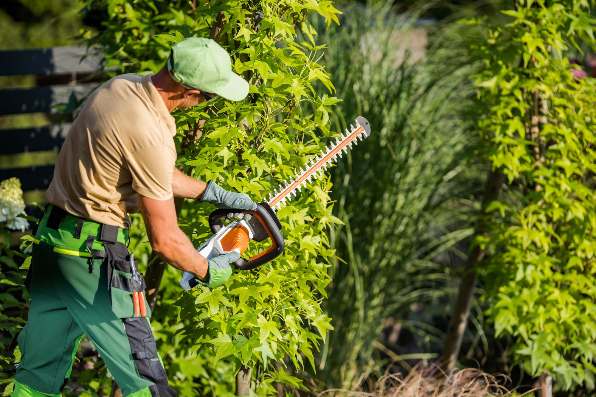 Tree Trimming Phoenix